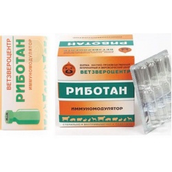Риботан (Ветзвероцентр)